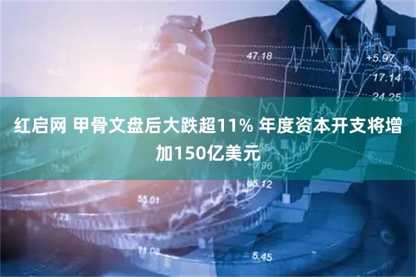 红启网 甲骨文盘后大跌超11% 年度资本开支将增加150亿美元